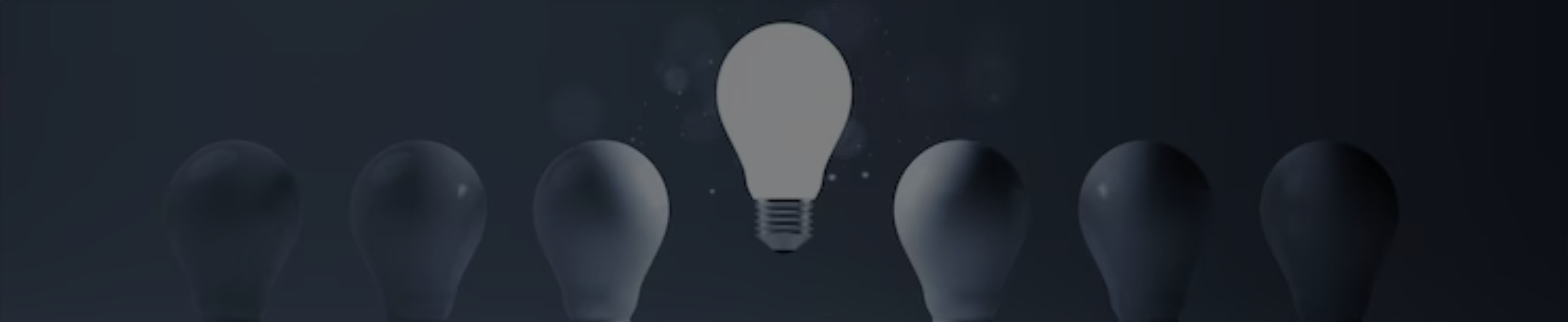 Incubator & Accelerator Program for Nonprofit (IAPN)